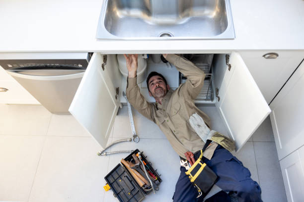 Best Local Plumber Services  in Landrum, SC