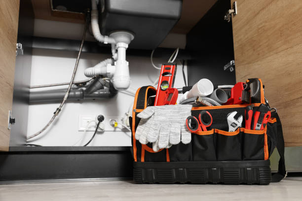 Best Septic Systems  in Landrum, SC