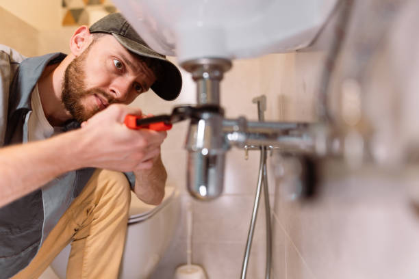 Best Sewer Line Repair  in Landrum, SC