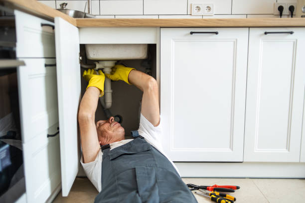 Best Faucet Repair  in Landrum, SC
